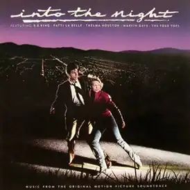 Обложка альбома от различных исполнителей «Into the Night» ()
