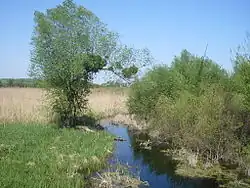 река в 2011 году: приустьевая часть возле города Смела