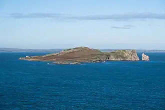 Фото 2025 года