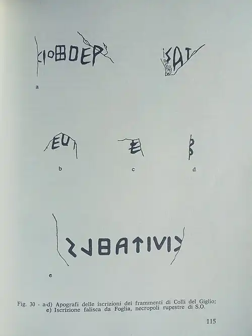 Прорисовка надписи из Мальяно-Сабины (сверху)