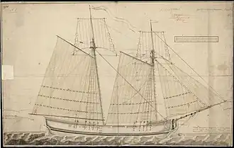 Чертёж парусности шхун типа «Победослав Дунайский» или «Измаил»