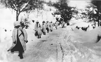 Разведывательная группа 6-й Краинской ударной бригады