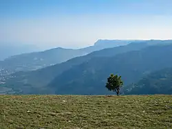 Вид на южные отроги Ялтинской яйлы (фотография сделана с верхней части отрога Баланын-Каясы; вблизи — Лапатинский отрог, за ним идут Кизил-Кая и Иограф. Вдали слева виден холм Могаби, вдали по центру — Ай-Петри).