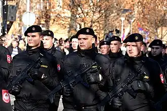 Taurus SMT используемые полицией Республики Сербской