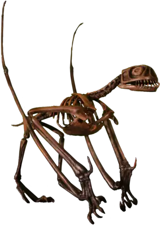 Реконструкция скелета