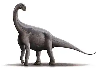 Реконструкция