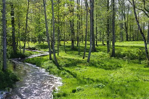 Парк мызы Кяру