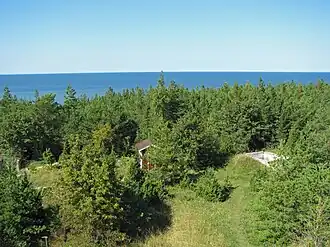 Вид на залив со смотровой вышки Нинасе