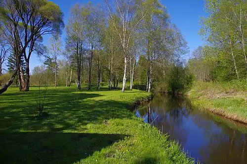 Парк хутора Кюлма,охраняется государством