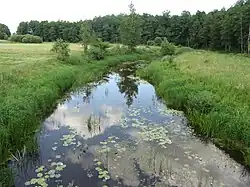 Низовье Камайки близ устья около деревни Кекштай в Литве летом 2014 года