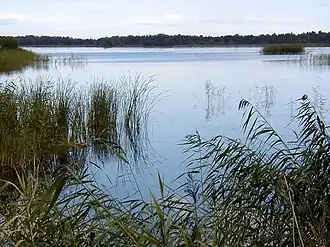 Озеро Каниерис в районе Лапмежциемса