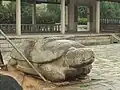 Древняя черепаха в храме Кайюань
