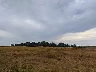 Урочище Калмыцкий. Вид с северо-запада. Видны холмики от снесённых зданий. За деревьями — расположен пруд. 2021 год.