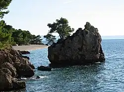 «Камень Брела» и пляж «Пунта Рата» в Бреле