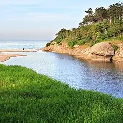 Устье реки весной 2006 года