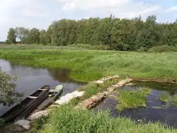 Караслица на выходе из Спуднинского озера, 2012 г. (озеро было подпружено мешками с песком для регулирования уровня)
