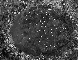 Святы камень з ямкамі ля Карэйвішак