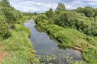 Касть близ села Середа. Лето.