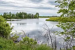 Русло реки в районе села Петропавловского