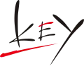 Key logo