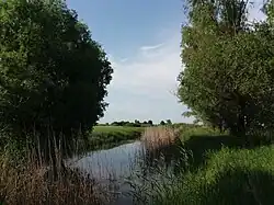 Хорунжевский