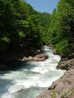 Река Киша между устьем и кордоном Киша