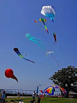 Запуск различных воздушных змеев