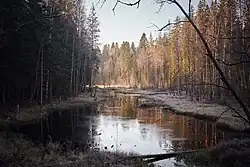 Разлив реки Кивиоя