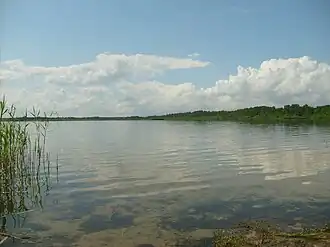 Вид на озеро летом 2011 года.