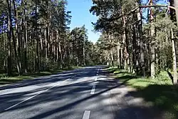 Улица в районе лесопарка Клоостриметс