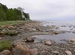 Комарово. Побережье Финского залива