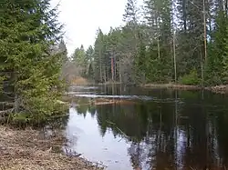 Кондоба, май 2011