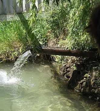 Родник Коньково