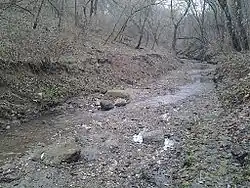 Коршуниха в 2014 году