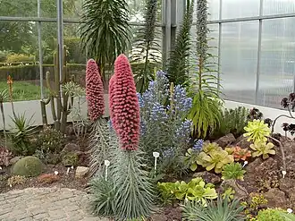 Особые условия для растений