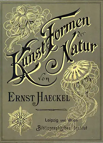 Обложка издания 1904 года