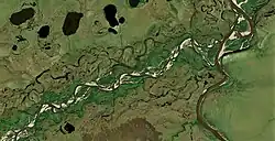 Устье Куранах-Юряха