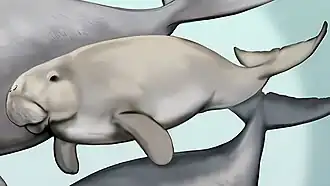 Реконструкция