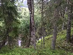 Окрестности деревни