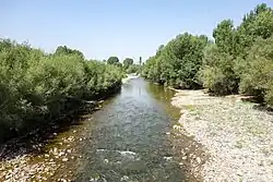 Низовье Кваблиани около устья в Арали