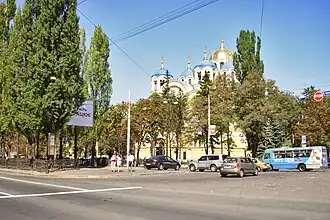 Вид на Владимирский собор