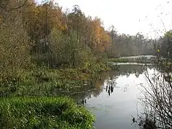 река в селе Киселёвка