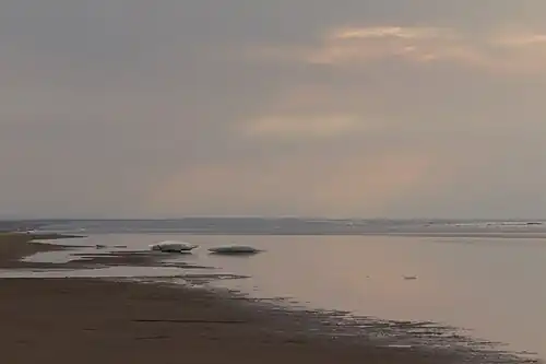 Побережье Восточно-Сибирского моря