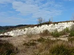 Старый известняковый карьер