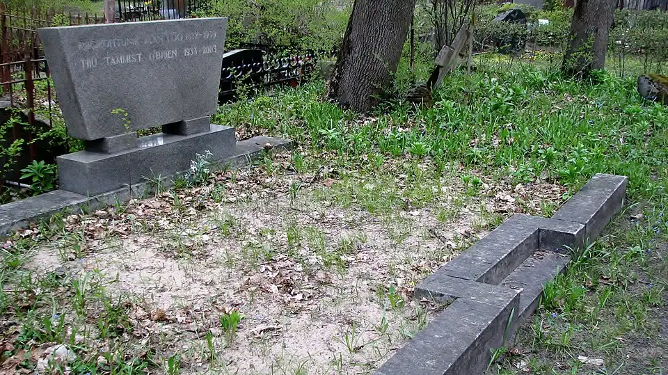 Могила Яана Лыо