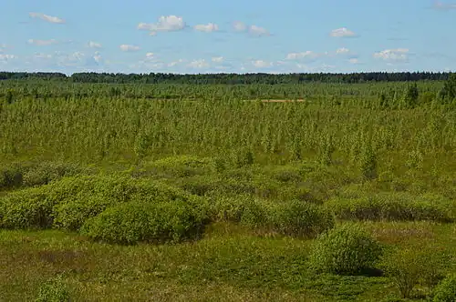 Заказник Люйбнитса со смотровой вышки деревни Люйбнитса