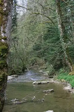 Река Люсель возле коммуны Люсель