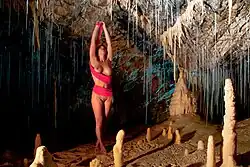 Симфония трубок, 2011