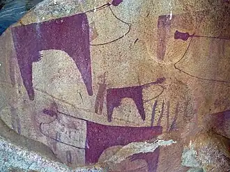 Несколько коров