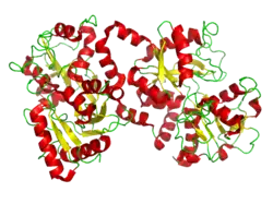 Лактоферрин18 июня 2009